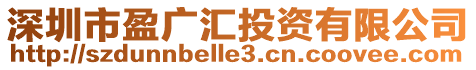 深圳市盈廣匯投資有限公司