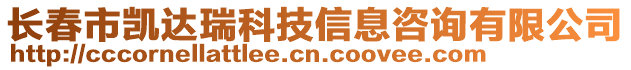 長春市凱達瑞科技信息咨詢有限公司