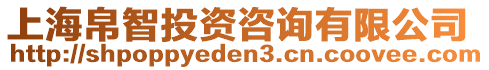 上海帛智投資咨詢有限公司