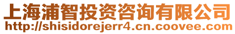 上海浦智投資咨詢(xún)有限公司