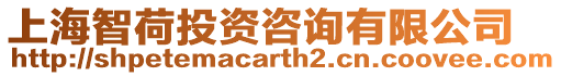 上海智荷投資咨詢有限公司
