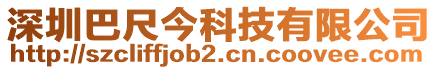 深圳巴尺今科技有限公司