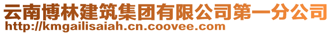云南博林建筑集團有限公司第一分公司