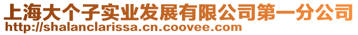 上海大個子實業發展有限公司第一分公司