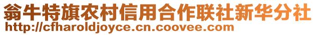 翁牛特旗農(nóng)村信用合作聯(lián)社新華分社