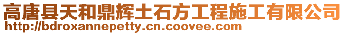 高唐縣天和鼎輝土石方工程施工有限公司