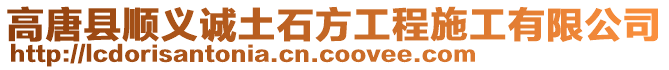 高唐縣順義誠土石方工程施工有限公司