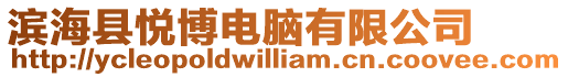 濱海縣悅博電腦有限公司