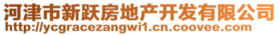 河津市新躍房地產開發(fā)有限公司