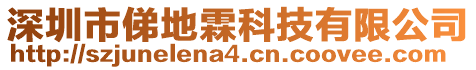 深圳市俤地霖科技有限公司