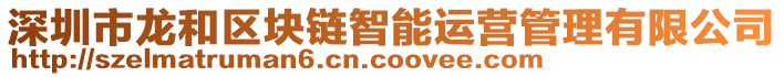 深圳市龍和區(qū)塊鏈智能運營管理有限公司