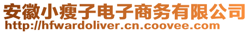 安徽小瘦子電子商務(wù)有限公司