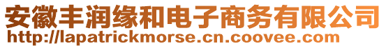 安徽豐潤(rùn)緣和電子商務(wù)有限公司