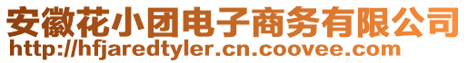 安徽花小團(tuán)電子商務(wù)有限公司