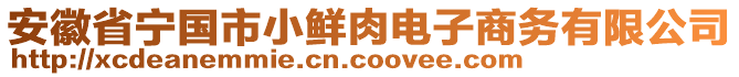 安徽省寧國市小鮮肉電子商務有限公司