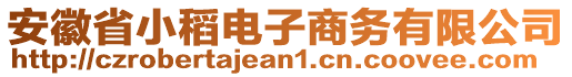 安徽省小稻電子商務(wù)有限公司