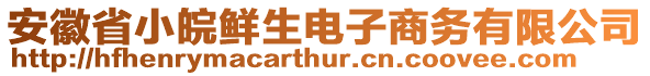 安徽省小皖鮮生電子商務(wù)有限公司