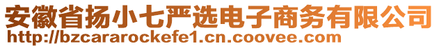 安徽省揚小七嚴選電子商務(wù)有限公司