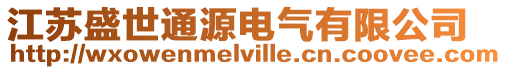 江蘇盛世通源電氣有限公司