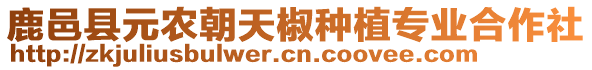 鹿邑縣元農(nóng)朝天椒種植專(zhuān)業(yè)合作社