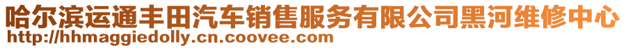 哈爾濱運通豐田汽車銷售服務(wù)有限公司黑河維修中心