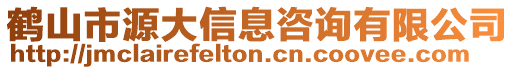 鶴山市源大信息咨詢(xún)有限公司
