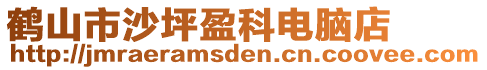 鶴山市沙坪盈科電腦店