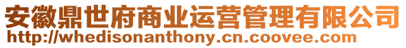 安徽鼎世府商業運營管理有限公司