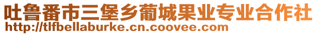 吐魯番市三堡鄉(xiāng)葡城果業(yè)專業(yè)合作社