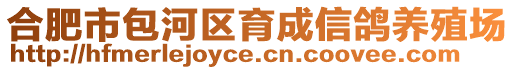 合肥市包河區育成信鴿養殖場