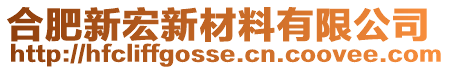 合肥新宏新材料有限公司