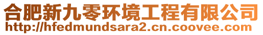 合肥新九零環(huán)境工程有限公司