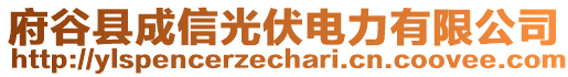 府谷縣成信光伏電力有限公司