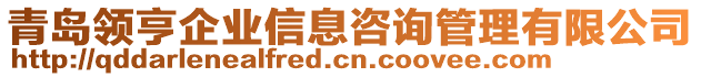 青島領(lǐng)亨企業(yè)信息咨詢管理有限公司