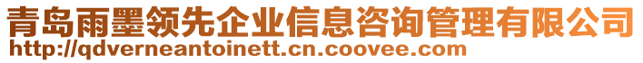 青島雨墨領先企業信息咨詢管理有限公司