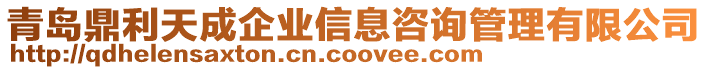 青島鼎利天成企業(yè)信息咨詢管理有限公司