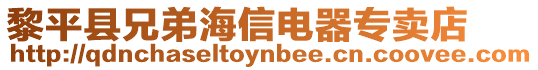 黎平縣兄弟海信電器專賣店