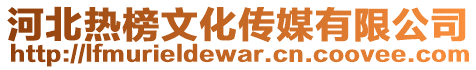 河北熱榜文化傳媒有限公司