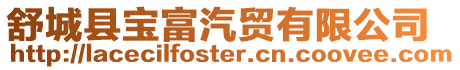舒城縣寶富汽貿有限公司