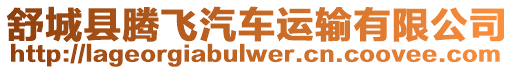 舒城縣騰飛汽車運輸有限公司