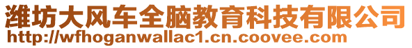 濰坊大風車全腦教育科技有限公司