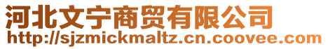 河北文寧商貿(mào)有限公司