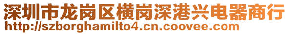 深圳市龍崗區橫崗深港興電器商行