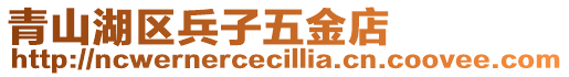 青山湖區(qū)兵子五金店