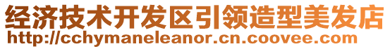 經(jīng)濟(jì)技術(shù)開發(fā)區(qū)引領(lǐng)造型美發(fā)店