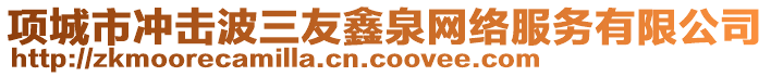 項城市沖擊波三友鑫泉網(wǎng)絡服務有限公司