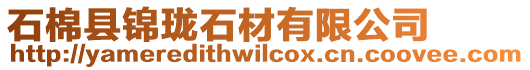 石棉縣錦瓏石材有限公司