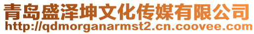 青島盛澤坤文化傳媒有限公司