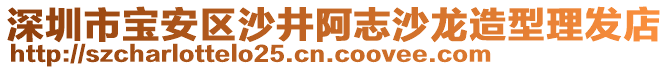 深圳市寶安區(qū)沙井阿志沙龍造型理發(fā)店