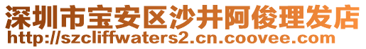 深圳市寶安區(qū)沙井阿俊理發(fā)店